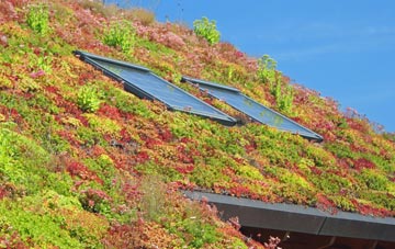 Earith living roof systems