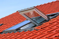 Earith roof window