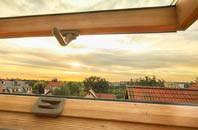 rated Earith roof window companies